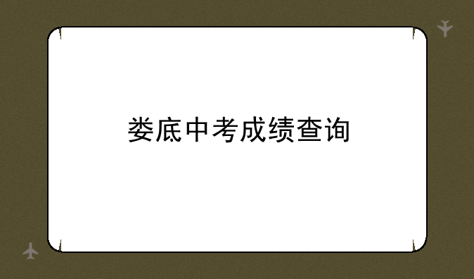 娄底中考成绩查询
