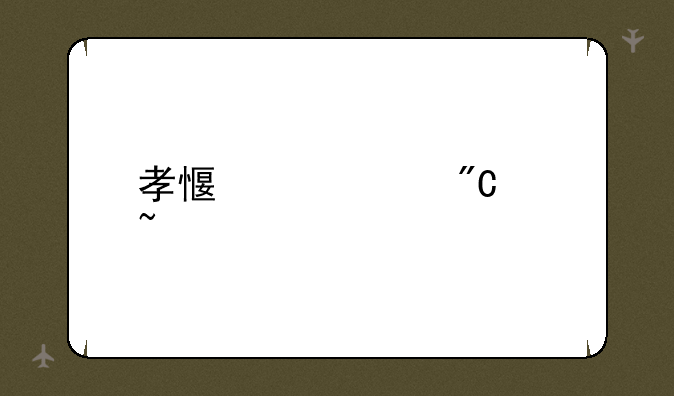 孝感中考成绩查询