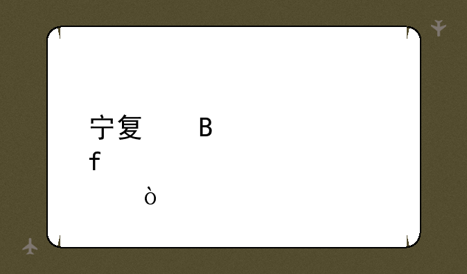 宁夏理工学院邮编