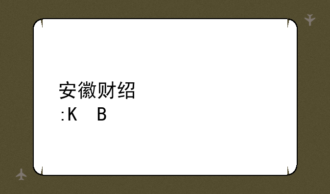 安徽财经大学排名