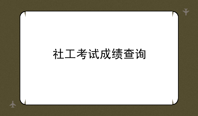 社工考试成绩查询