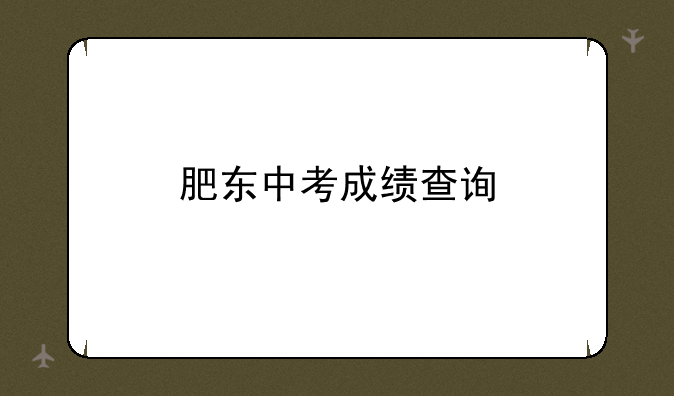 肥东中考成绩查询