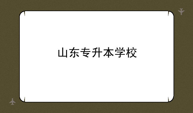 山东专升本学校