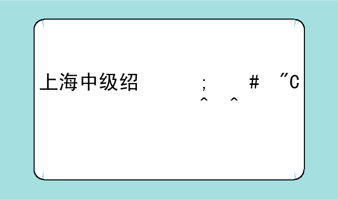 上海中级经济师成绩公布时间