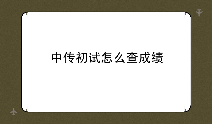 中传初试怎么查成绩