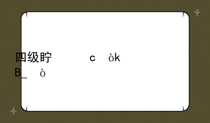 四级真题会公布吗？