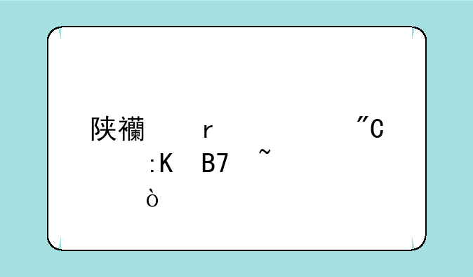 陕西省考成绩排名查询？