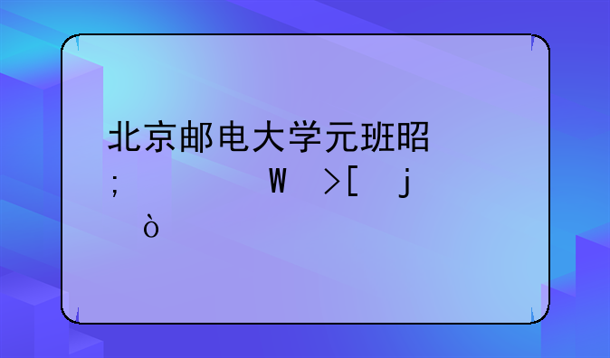 北京邮电大学元班是怎样录取的？