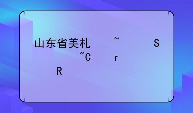 山东省美术查联考成绩需要用什么