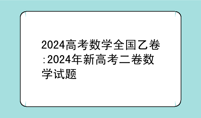 2024高考数学全国乙卷:2024年新高考二卷数学试题