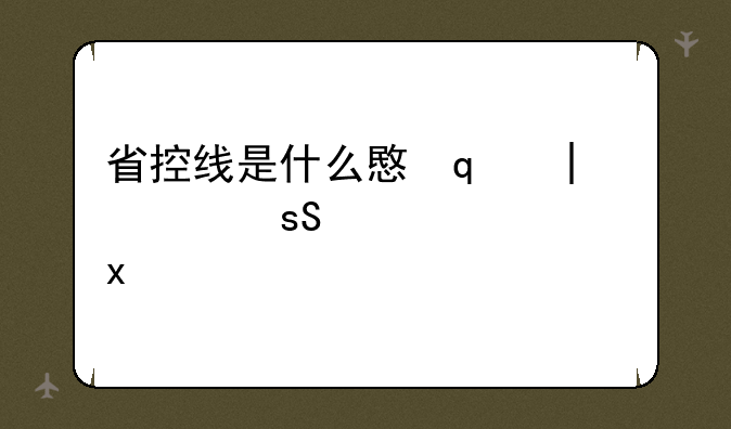 省控线是什么意思;投档线和省控线是什么意思