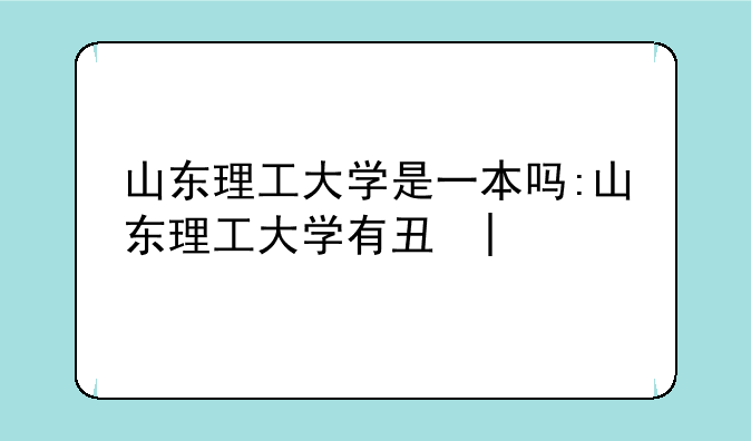 山东理工大学是一本吗:山东理工大学有专科吗