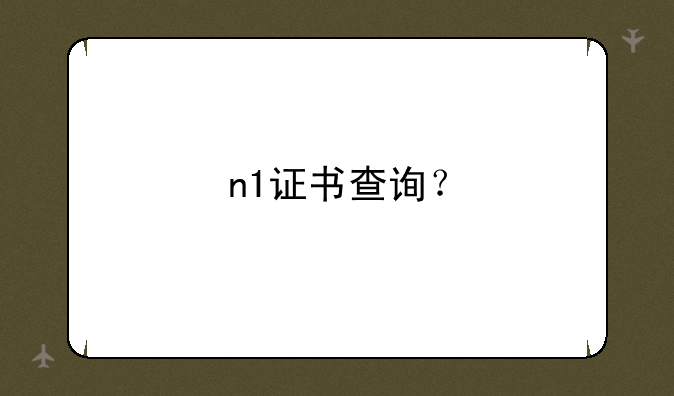 n1证书查询？